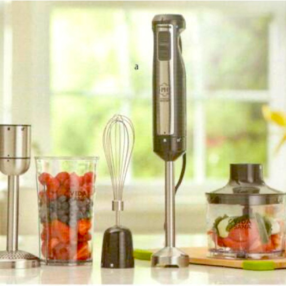 Princess House 4in 1 immersion blender BRAND NEW